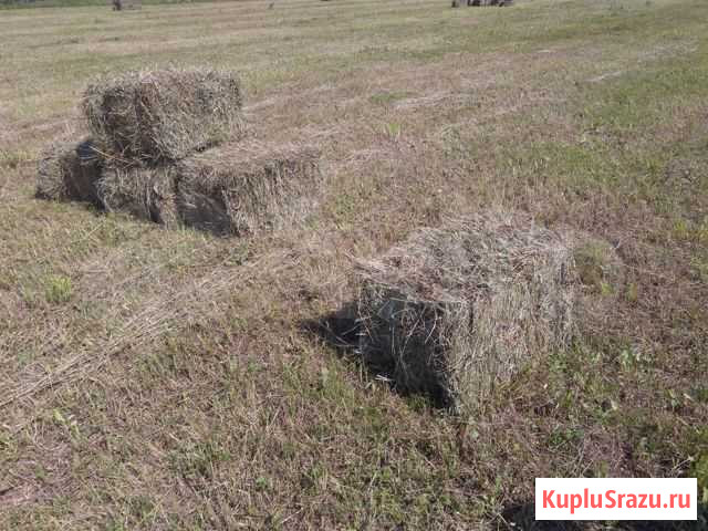 Сено Бирск - изображение 1