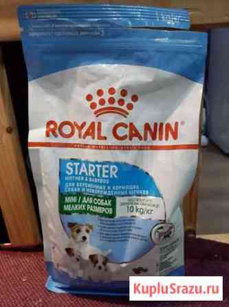 Royal Canin Starter Петрозаводск