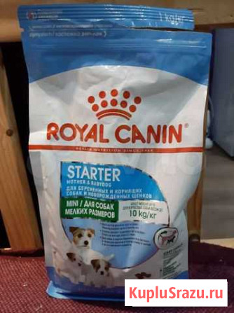 Royal Canin Starter Петрозаводск - изображение 1