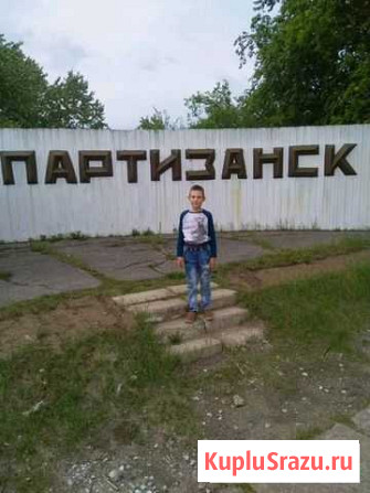 Грузоперевозки Партизанск - изображение 1