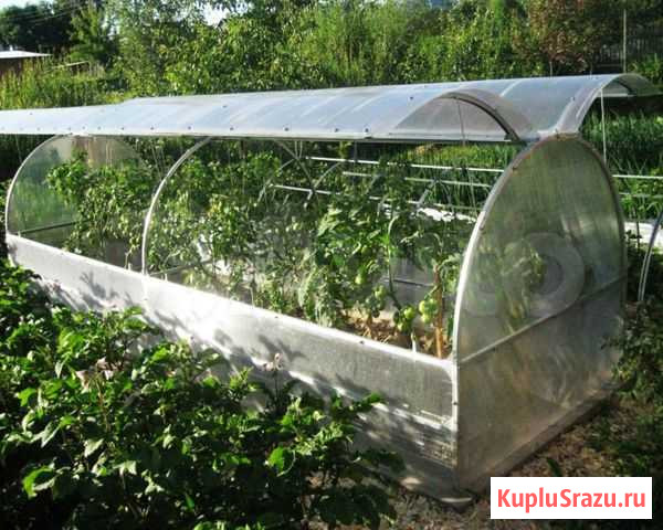 Парник Бабочка Новосибирск - изображение 1