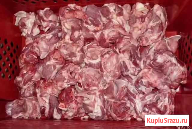 Калтык Пенза - изображение 1