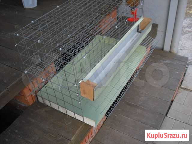 Поилки ниппельные и клетки для кроликов Рыбное - изображение 1