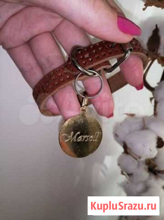 Кошачий ошейник +медальон Тольятти - изображение 1