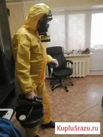 Уничтожение клопов, тараканов, мышей. Дезинфекция Волгоград - изображение 1