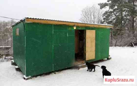 Передержка для собак в Тульской области Дубна