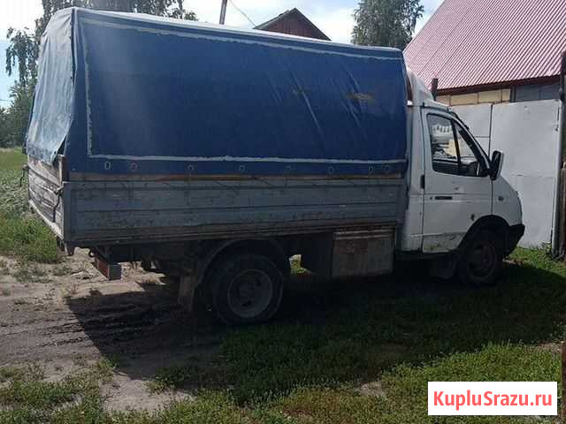 Перевозка животных Бийск - изображение 1