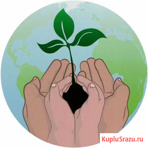 Принимаем Вторсырье. Помоги сохранить природу Сатка - изображение 1