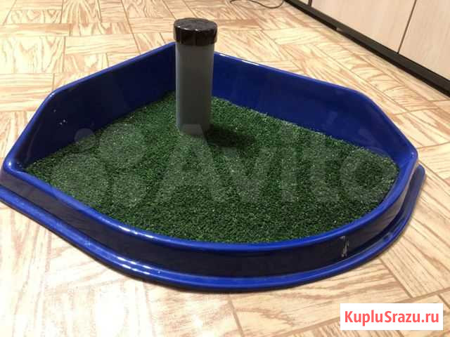 Лоток для собак Благовещенск - изображение 1