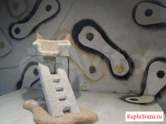 Когтеточка Петропавловск-Камчатский - изображение 1