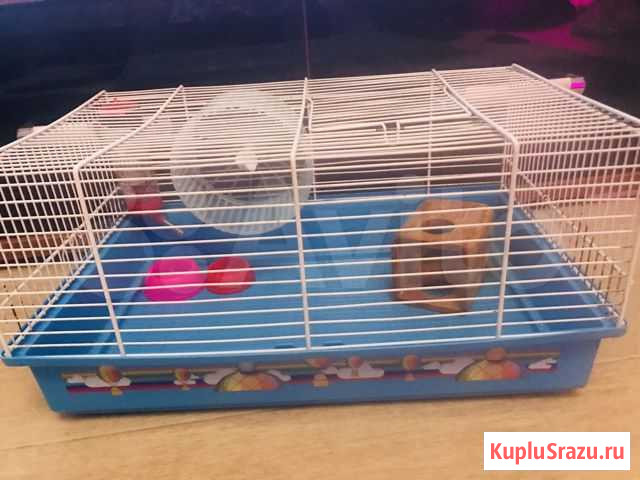 Клетка для хомяка Набережные Челны - изображение 1