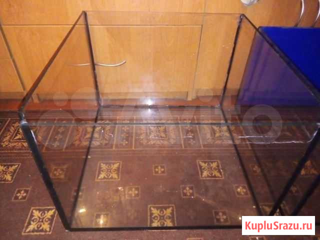 Аквариум Калининград - изображение 1
