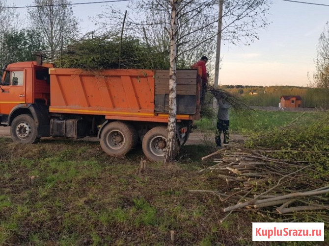 Вывоз спиленных деревьев кустарников Омск - изображение 1