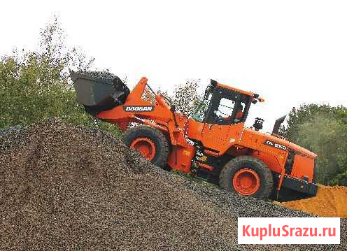 Фронтальный погрузчик Doosan DL250A Архангельск - изображение 1