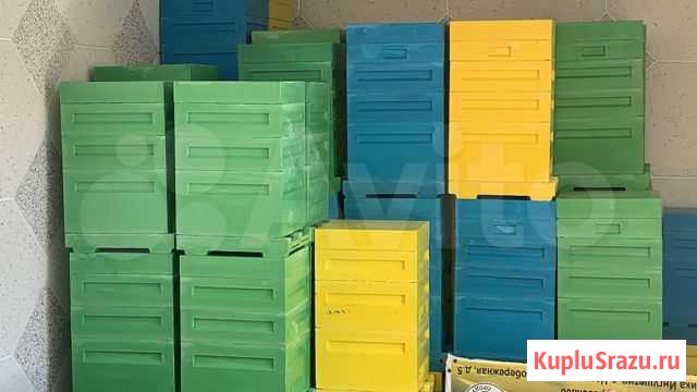 Улья магас 10 рамочные 6 рам Назрань - изображение 1