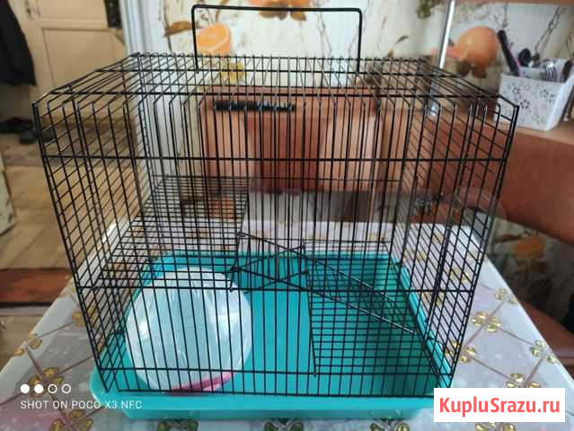 Клетка Новоалтайск - изображение 1