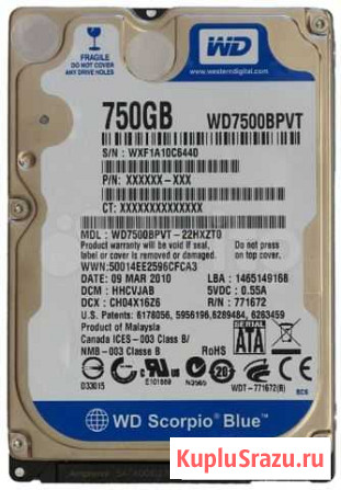 Жесткий диск 2,5 SATA 3.0 WD Blue 750Гб Новосибирск - изображение 1