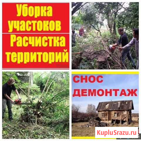 Расчистка, Уборка территории, спил деревьев Воронеж - изображение 1