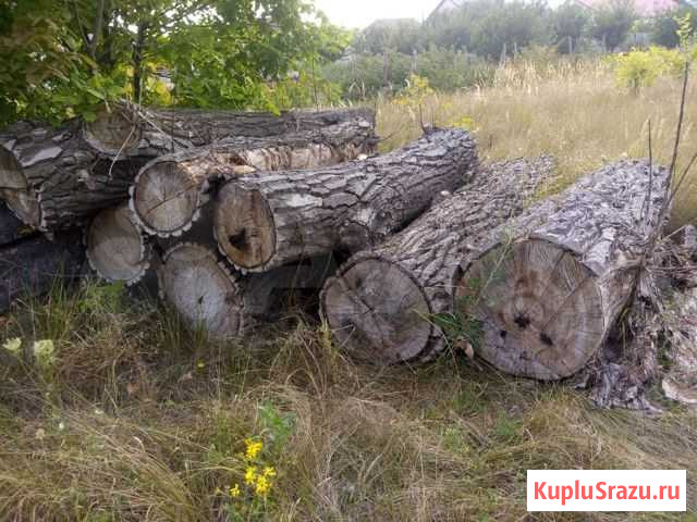 Дерево тополь на дрова Валуйки - изображение 1