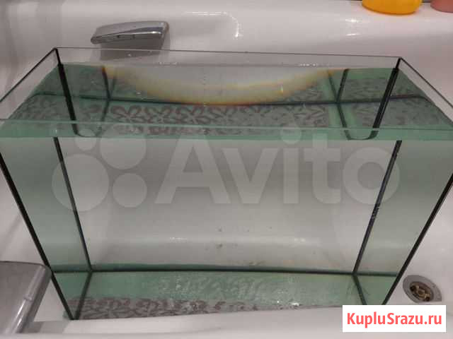 Аквариум Набережные Челны - изображение 1