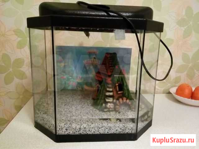 Аквариум Киров - изображение 1
