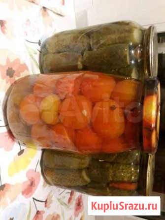 Маринованные огурцы и помидоры Узловая - изображение 1