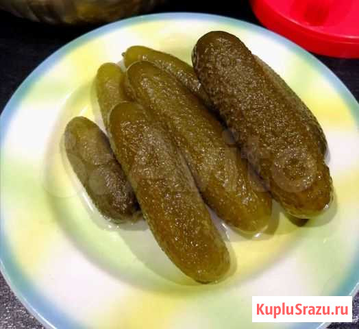 Огурцы соленые Смоленск - изображение 1