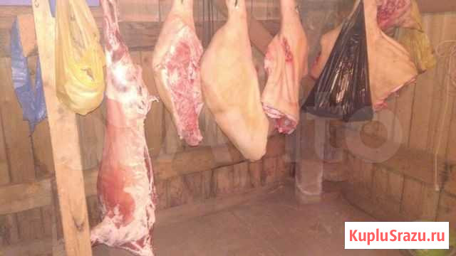 Здоровая еда Ижевск - изображение 1