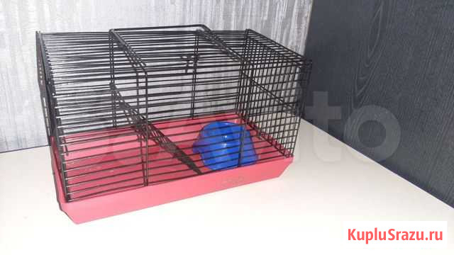 Клетка для грызунов Новоалтайск - изображение 1