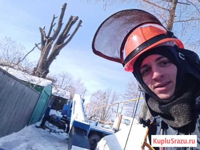 Спилить дерево без автовышки и спецтехн. Альпист Кострома - изображение 1