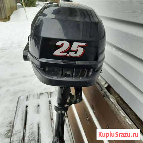 Лодочный мотор suzuki 2,5 Луга - изображение 1