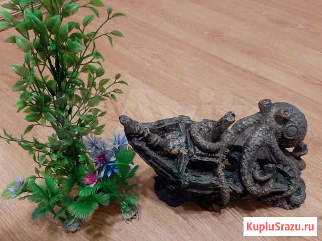 Фигура для аквариума и террариума Белгород - изображение 1
