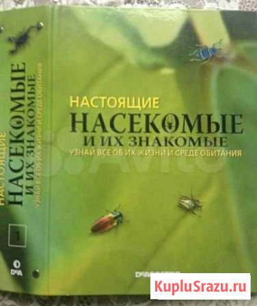 Насекомые и их знакомые Челябинск - изображение 1