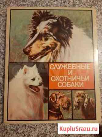Набор спичек служебные и охотничьи собаки Александров
