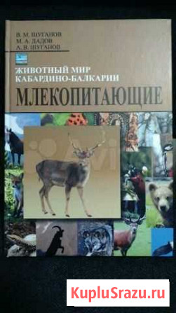 Книга-справочник Нальчик - изображение 1