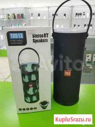 Портативная bluetooth колонка T&G TG-513 Казань