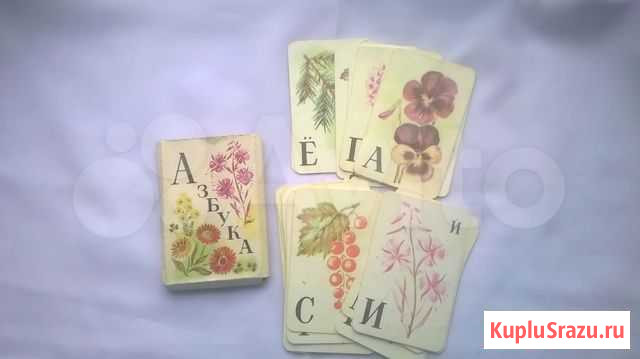 Карточки Азбука Цветы, 1974 год Архангельск - изображение 1