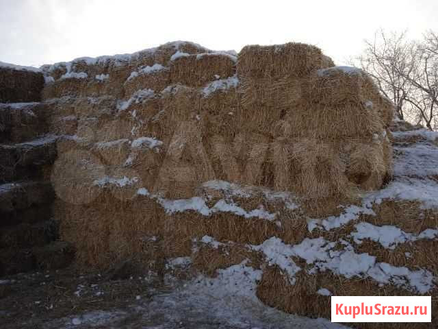 Продам солому ячменную Подгородняя Покровка - изображение 1