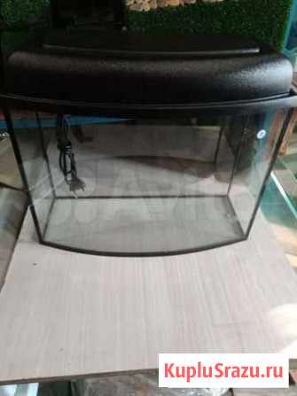 Аквариум с выгнутым стеклом 30 л Кемерово - изображение 1