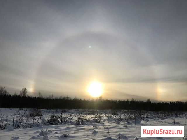 Топографическая план 1:500. Вынос участка в натуру Выборг - изображение 1