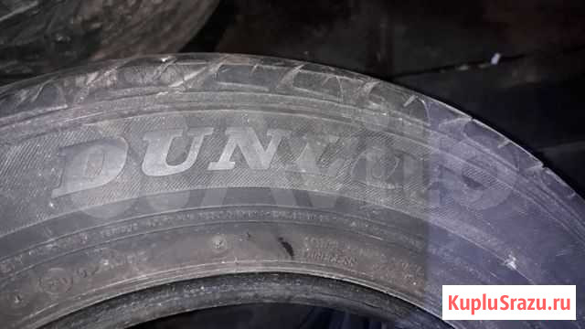 Летние шины Dunlop Смоленск - изображение 1