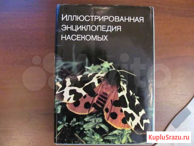Энциклопедия насекомых 1977 год Воткинск - изображение 1