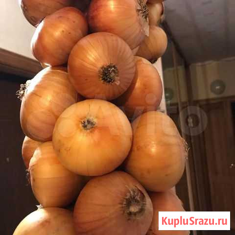 Продукты и питание Абакан - изображение 1