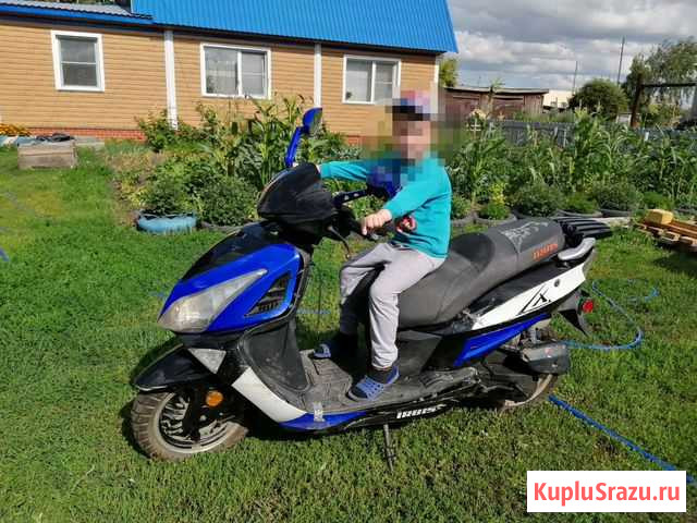 Ирбис Краснозерское - изображение 1