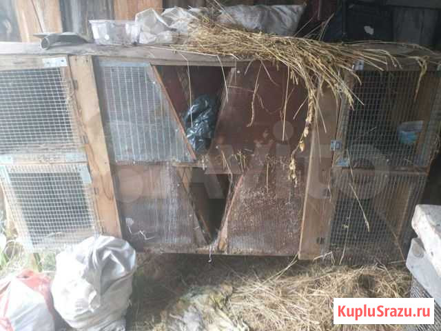 Клетка Введенское - изображение 1
