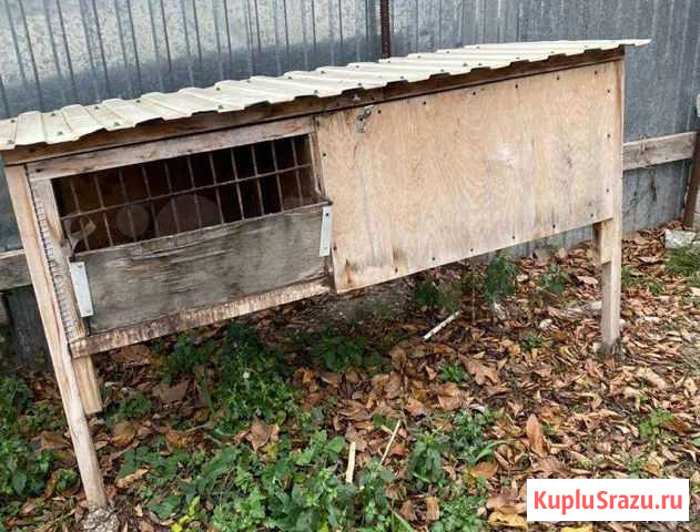 Клетка Геленджик - изображение 1