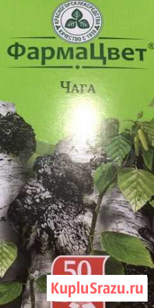 Гриб чага в количестве 5 штук. Цена указана за пач Курск - изображение 1