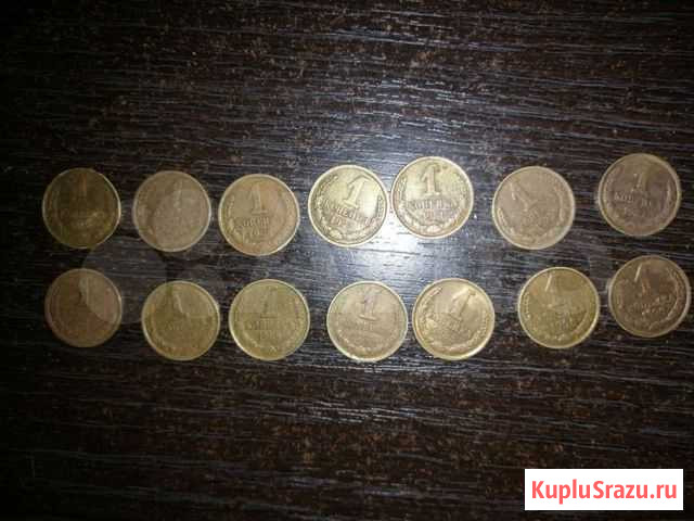 Монеты СССР 1 копейка 1961-1991г 200р за все Кострома - изображение 1