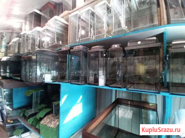 На заказ аквариумы Кемерово - изображение 1