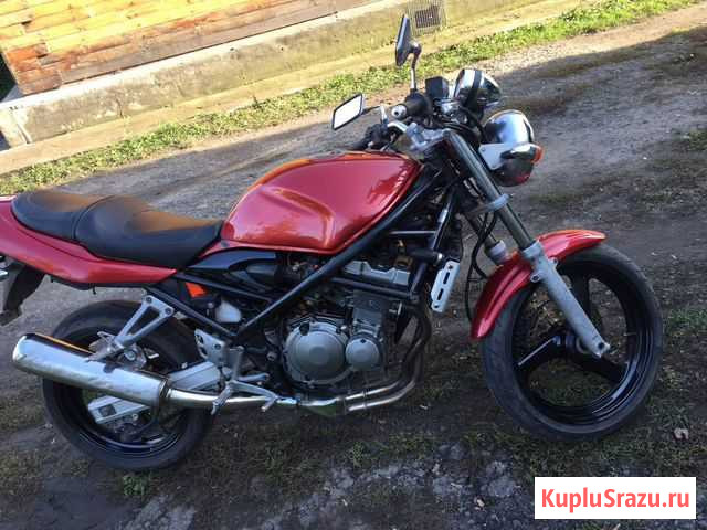 Suzuki bandit 250-2 Первомайское - изображение 1